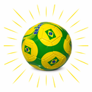 Bola de Futebol Seleção Brasileira