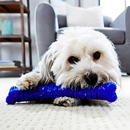 Mordedor Osso Removedor De Tártaros para Pets Silicone