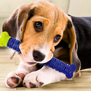 Mordedor Osso Removedor De Tártaros para Pets Silicone